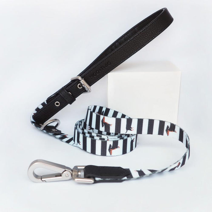 The Vegan Leather Collection