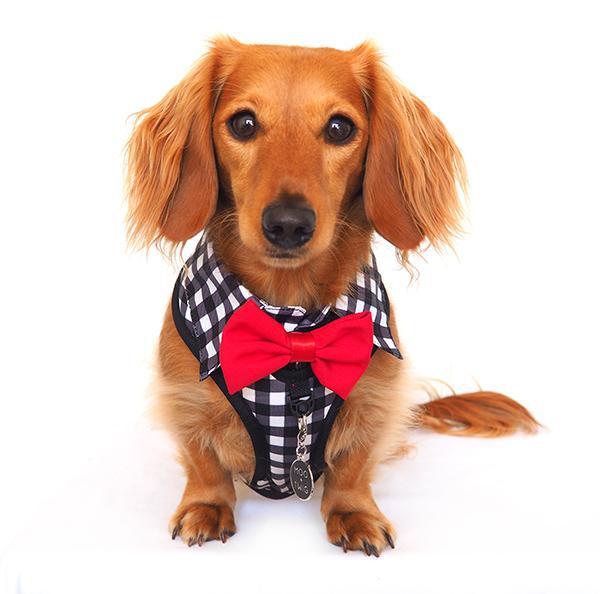 SHIRT STYLE DOG HARNESSES