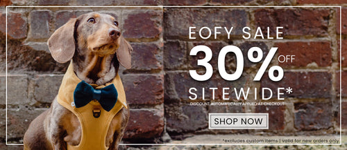 SHOP ALL