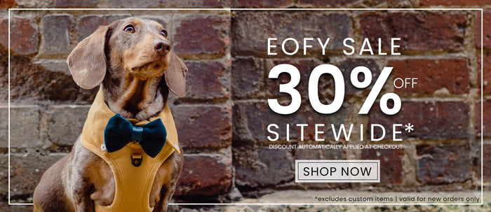 SHOP ALL