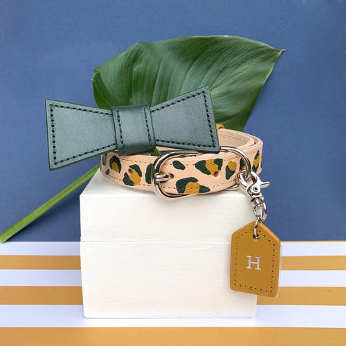 Dog Collars