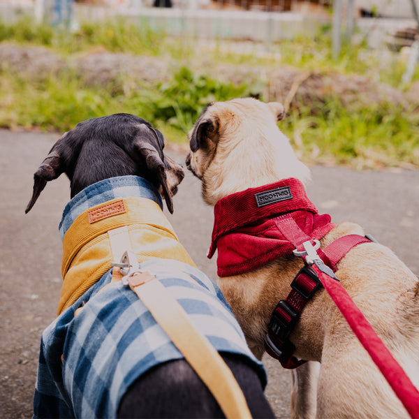 Corduroy & Vegan Leather Dog Leash - Ruby Red