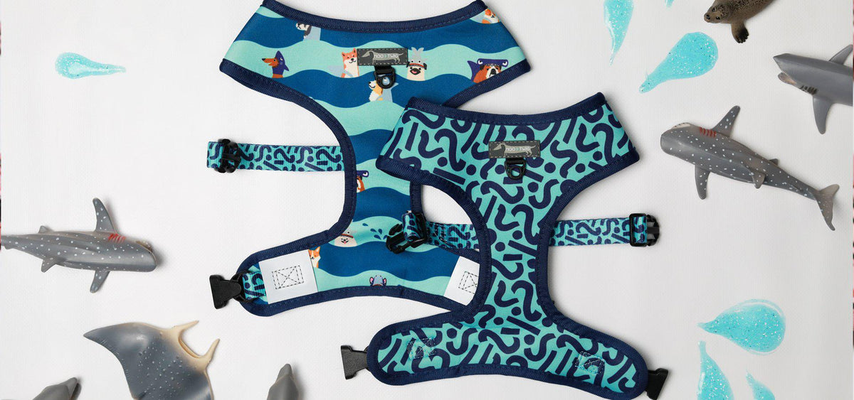 Reversible Blue Boy Dog Harness with Shark Dog Print Featuring Dachshunds, Frenchies, Cavoodles, Corgis, Shiba Inus and more designed in Australia