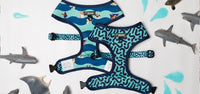 Reversible Blue Boy Dog Harness with Shark Dog Print Featuring Dachshunds, Frenchies, Cavoodles, Corgis, Shiba Inus and more designed in Australia