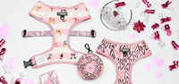 Pink Striped Dog Harness with Girl Dogs and Hearts All over. Cute Heart Dog Harness designed in Australia for puppies and small to medium sized dogs.